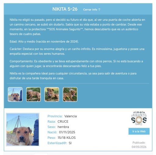 Prueba actualización